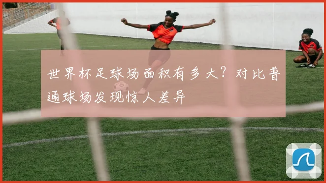 世界杯足球场面积有多大？对比普通球场发现惊人差异